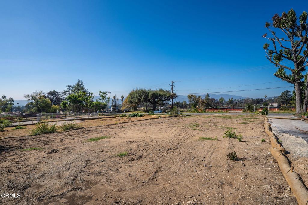 MLS #P1-24837 image #7