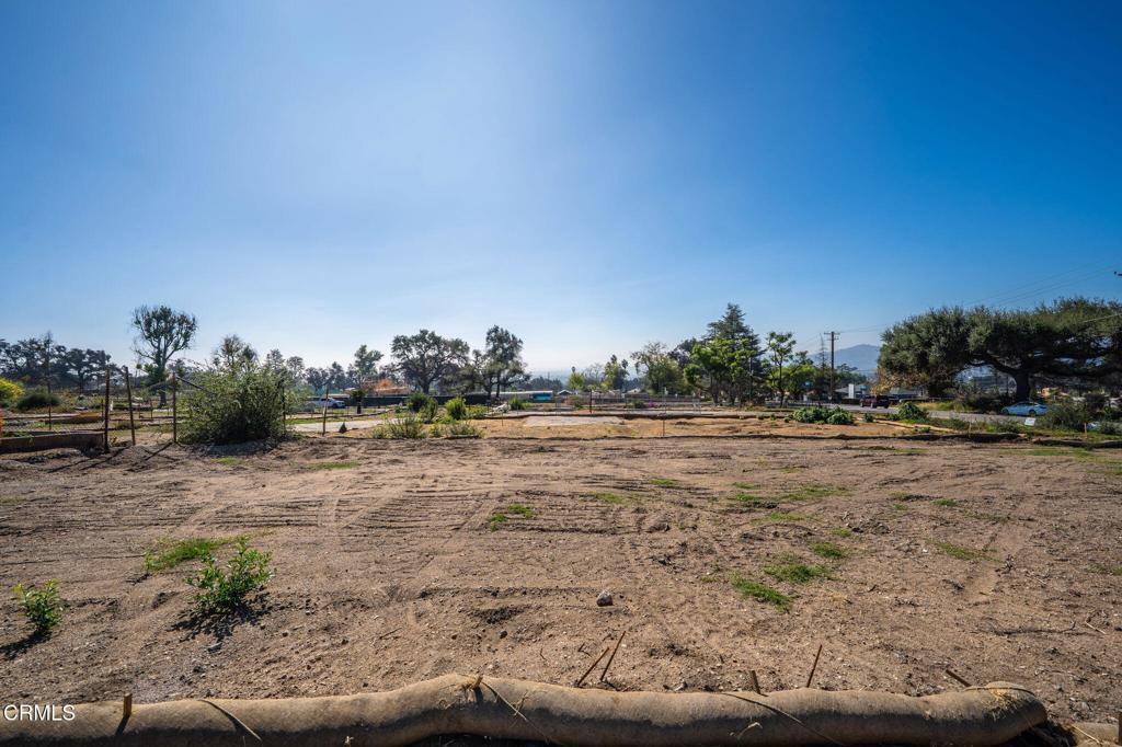 MLS #P1-24837 image #8