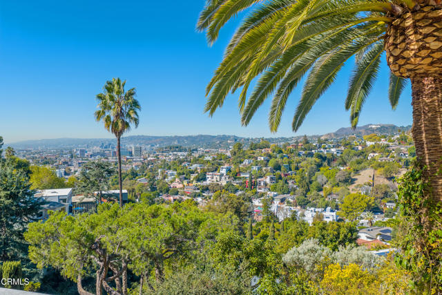 MLS #P1-24842 image #39