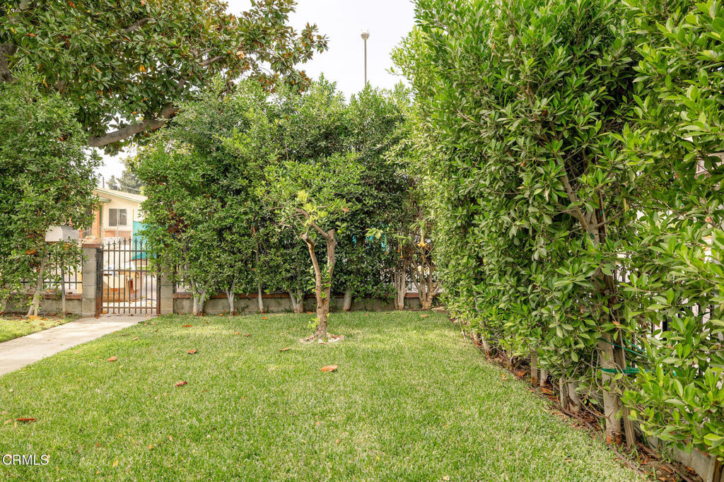 MLS #P1-24883 image #18