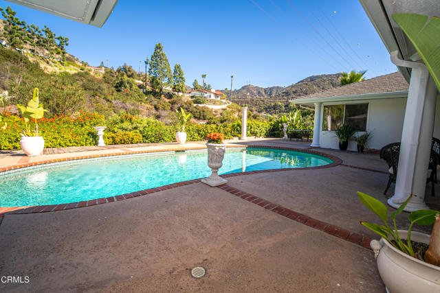 MLS #P1-24884 image #22