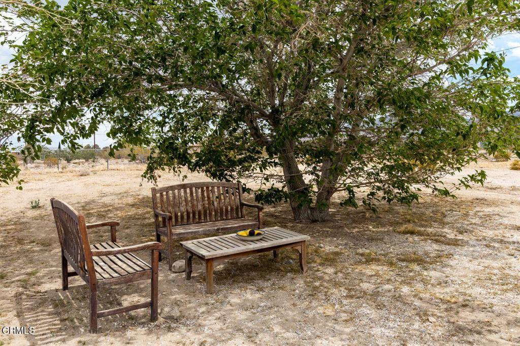 MLS #P1-24898 image #50