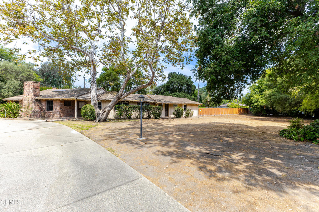 MLS #P1-24920 image #3