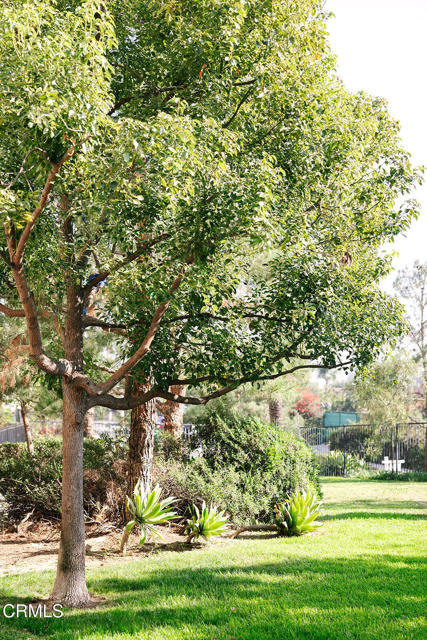 MLS #P1-24923 image #22