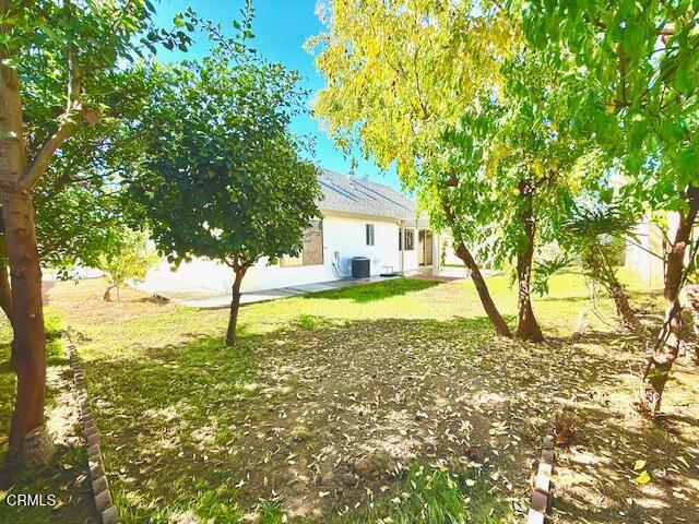 MLS #P1-24929 image #13