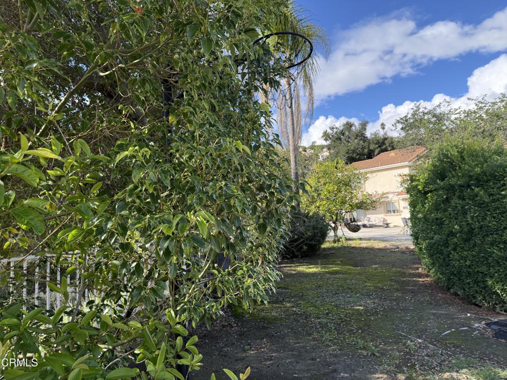 MLS #P1-24943 image #3