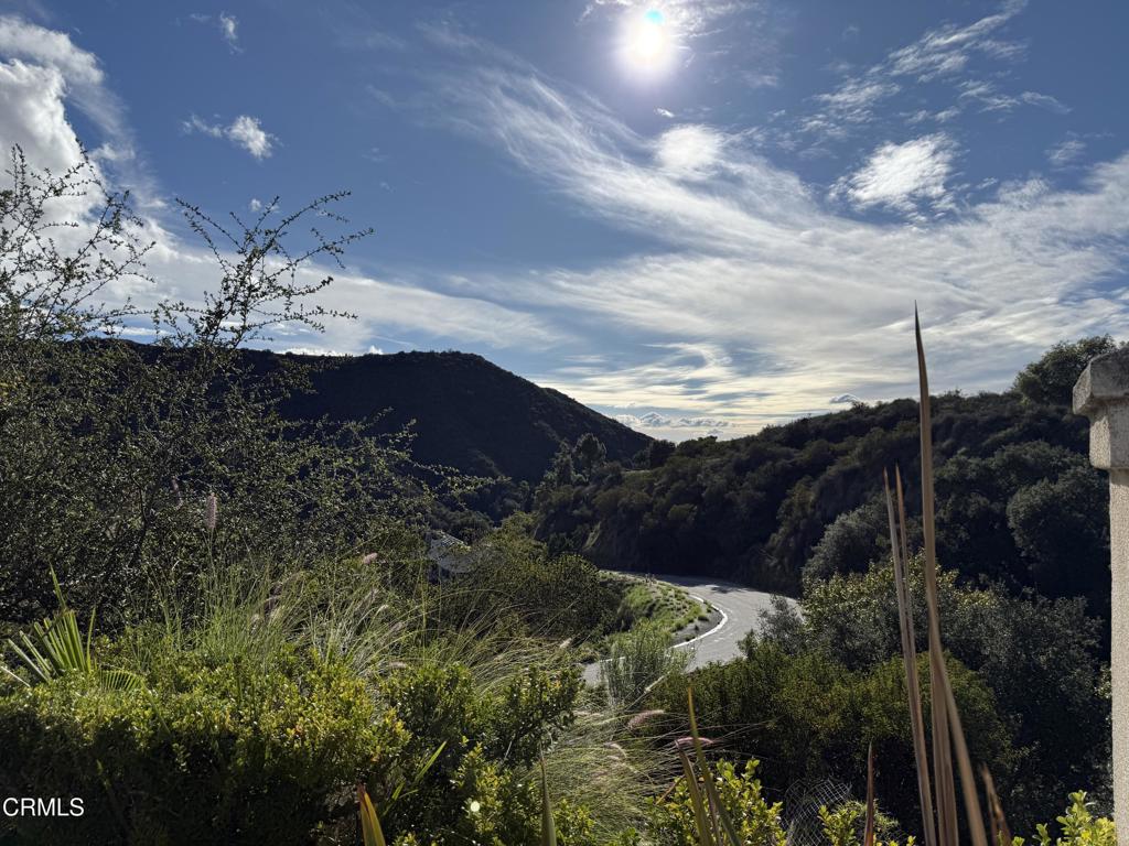 MLS #P1-24943 image #4