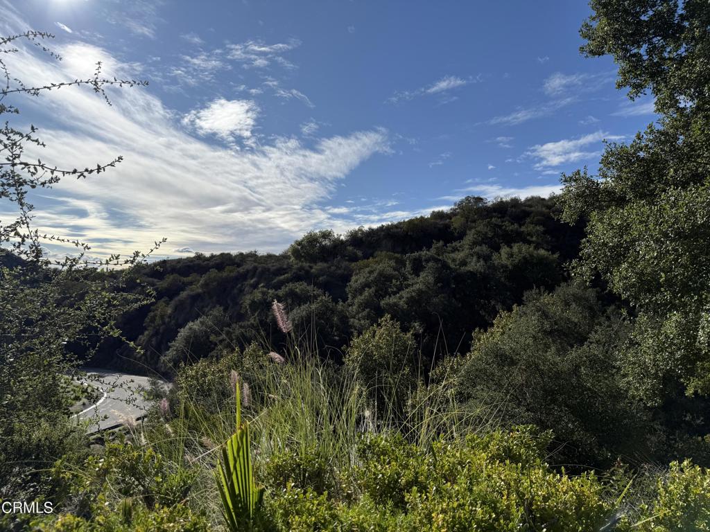 MLS #P1-24943 image #5