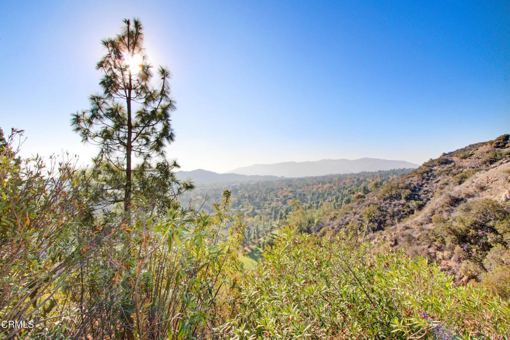 MLS #P1-24949 image #4