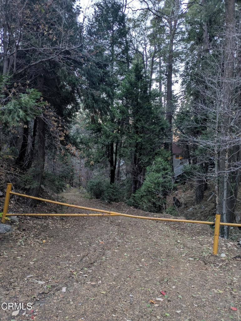 MLS #P1-24951 image #12