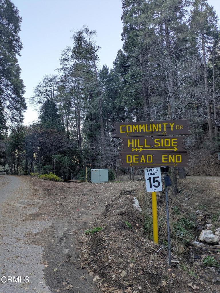 MLS #P1-24951 image #13