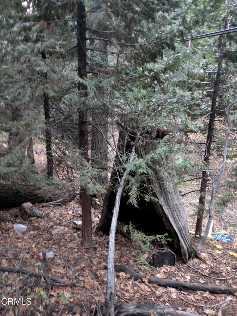 MLS #P1-24951 image #3