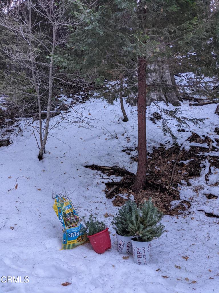 MLS #P1-24951 image #5