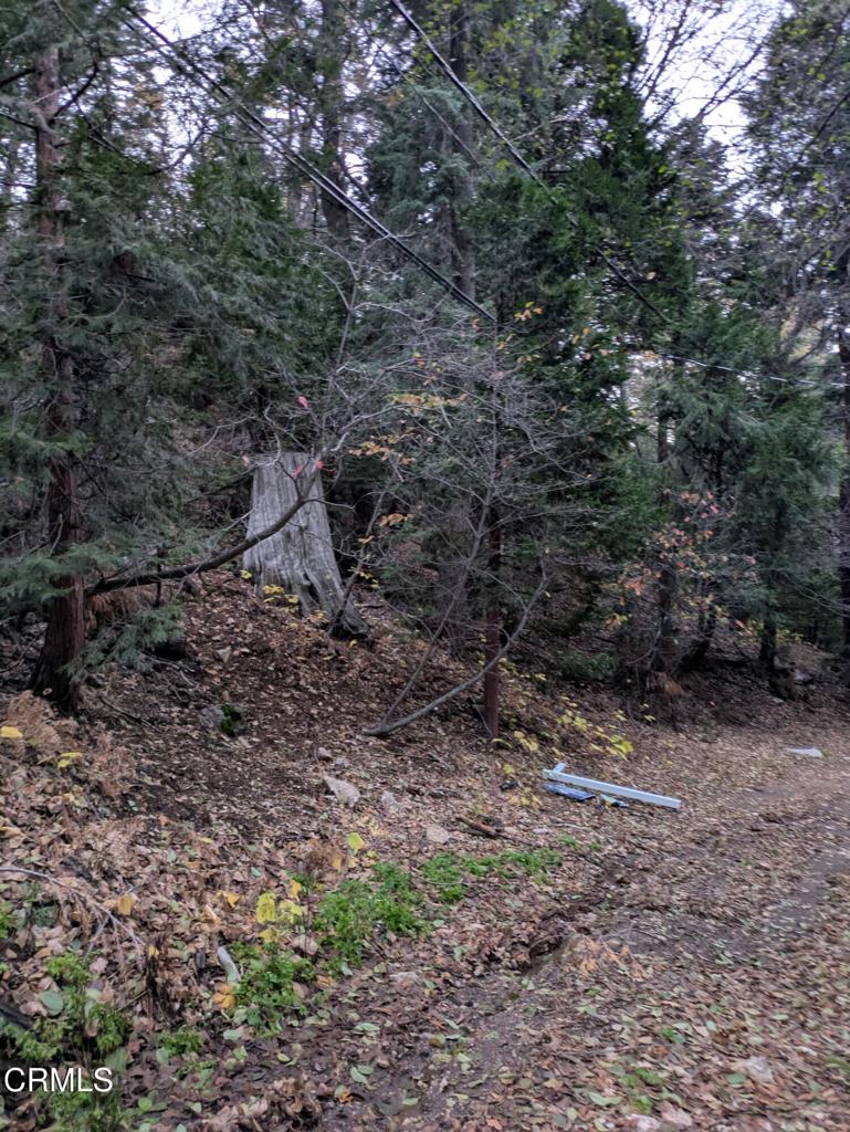 MLS #P1-24951 image #6