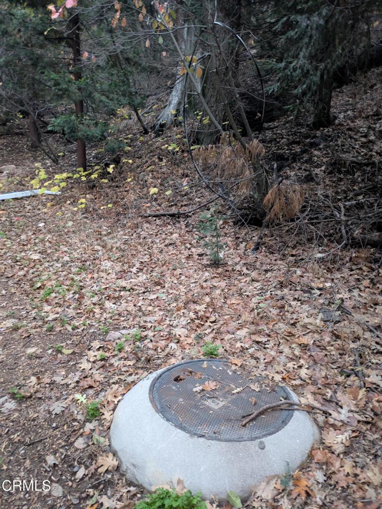 MLS #P1-24951 image #8