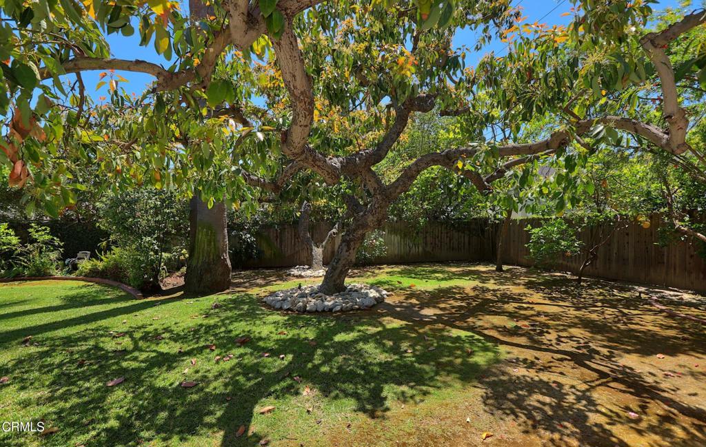 MLS #P1-24973 image #19