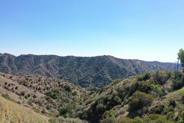 MLS #P1-24984 image #35