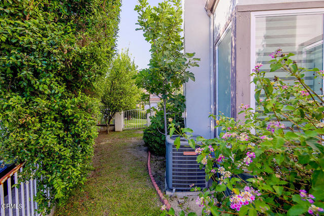 MLS #P1-24984 image #41