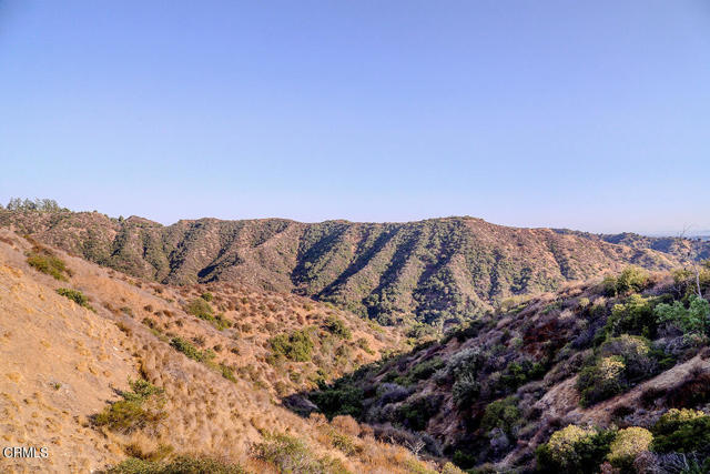 MLS #P1-24984 image #42