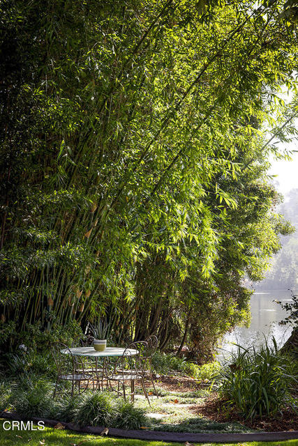 MLS #P1-25008 image #35