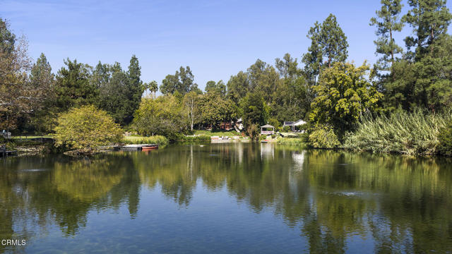 MLS #P1-25008 image #46