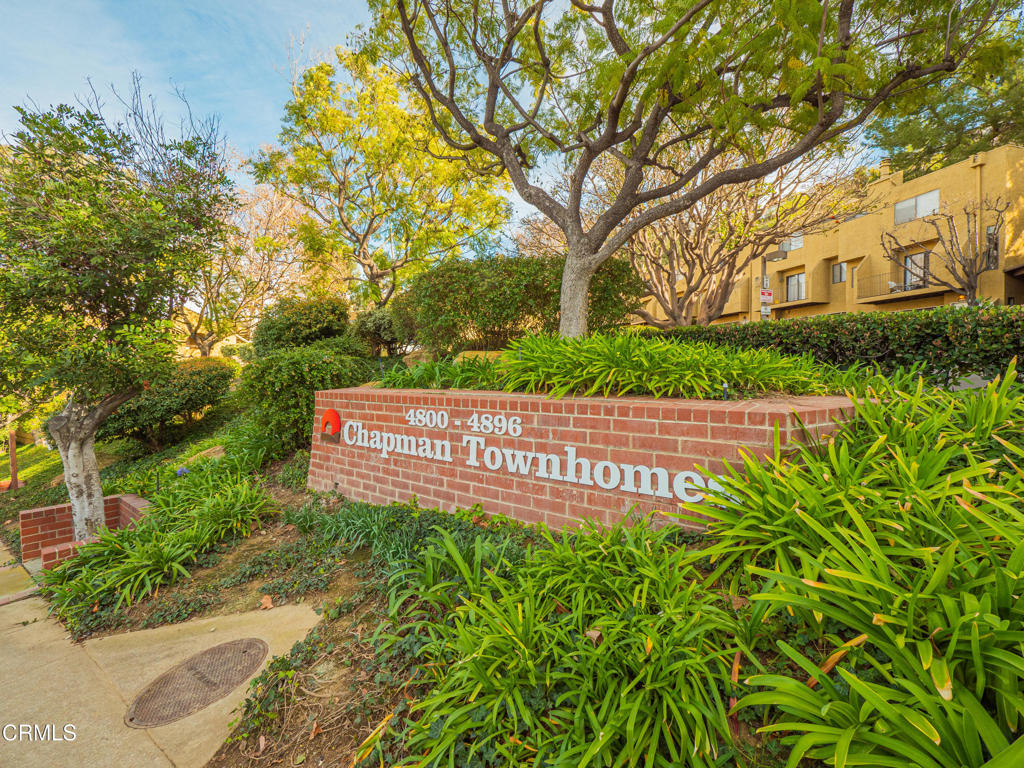 MLS #P1-25053 image #1