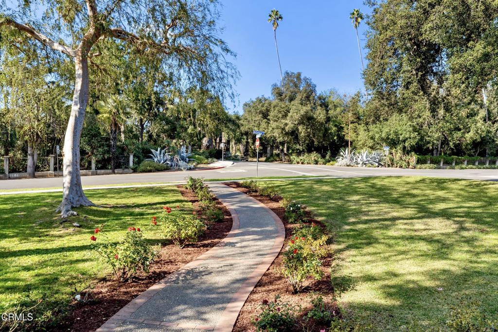 MLS #P1-25056 image #58