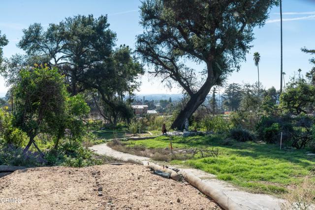 MLS #P1-25062 image #10