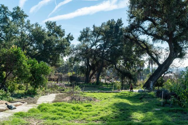 MLS #P1-25062 image #11