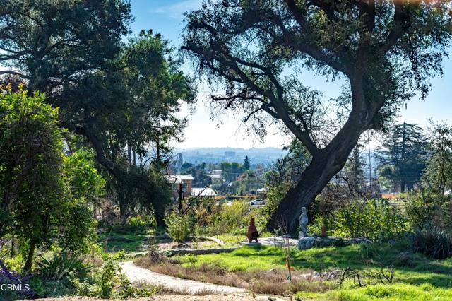 MLS #P1-25062 image #12