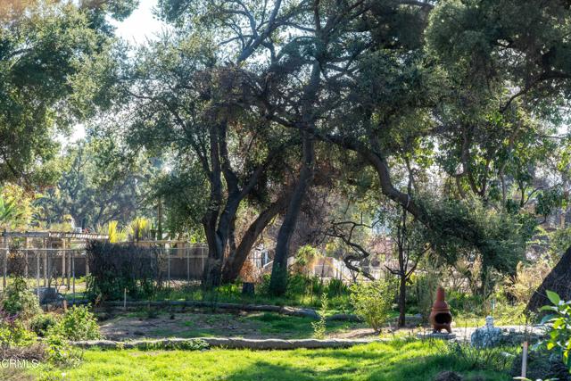 MLS #P1-25062 image #13