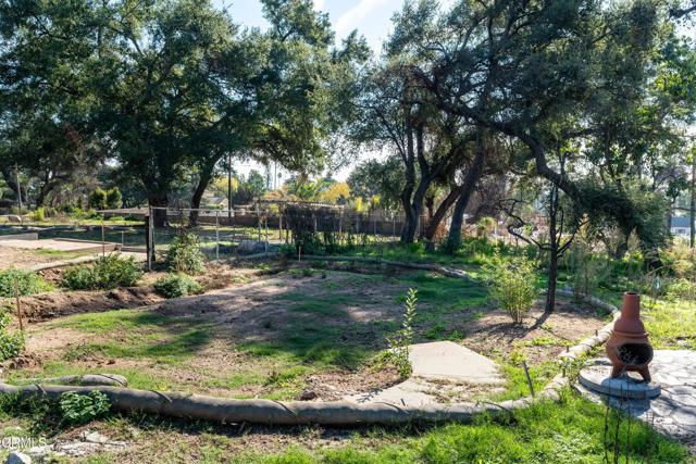 MLS #P1-25062 image #15