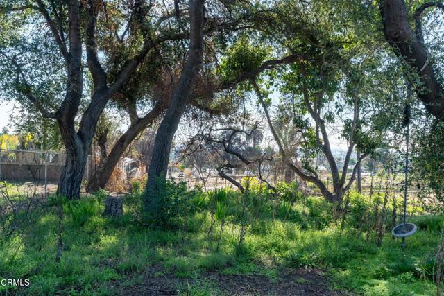 MLS #P1-25062 image #17