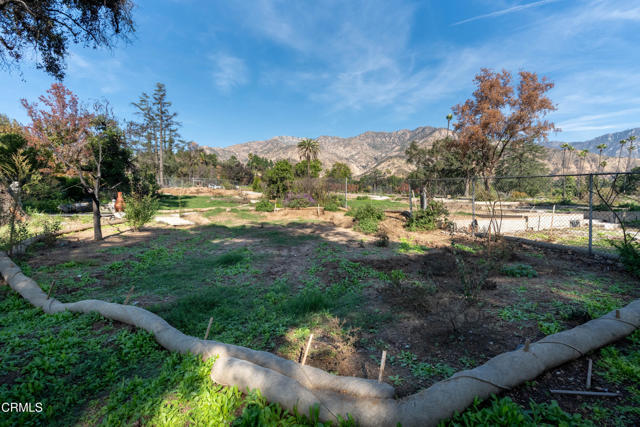 MLS #P1-25062 image #19