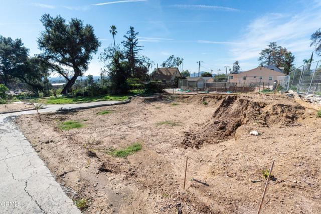 MLS #P1-25062 image #6