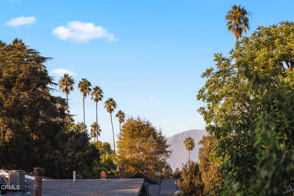 MLS #P1-25072 image #37