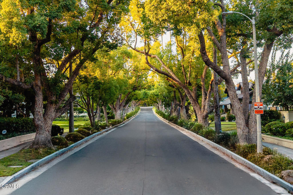 MLS #P1-25072 image #46