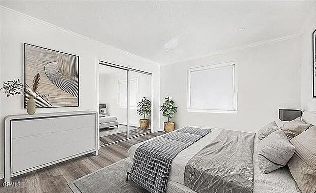 MLS #P1-25076 image #10