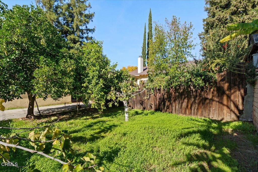 MLS #P1-25090 image #14