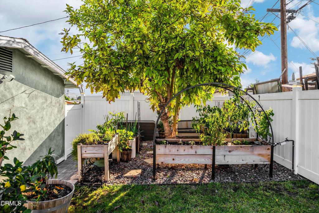 MLS #P1-25113 image #31