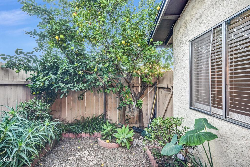 MLS #P1-25122 image #22