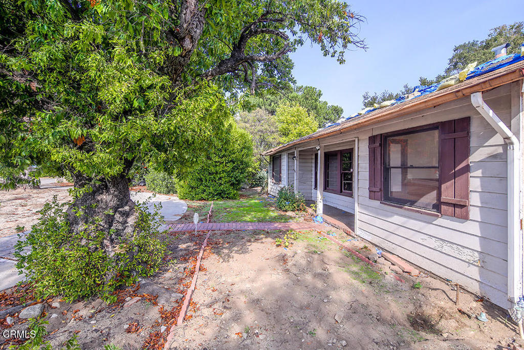 MLS #P1-25132 image #13