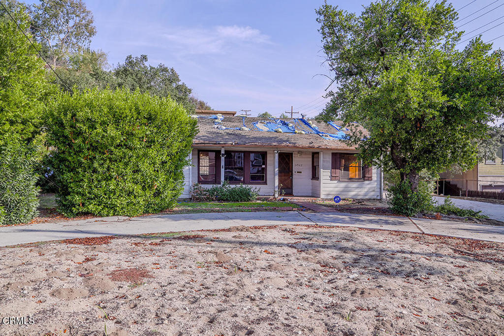 MLS #P1-25132 image #7