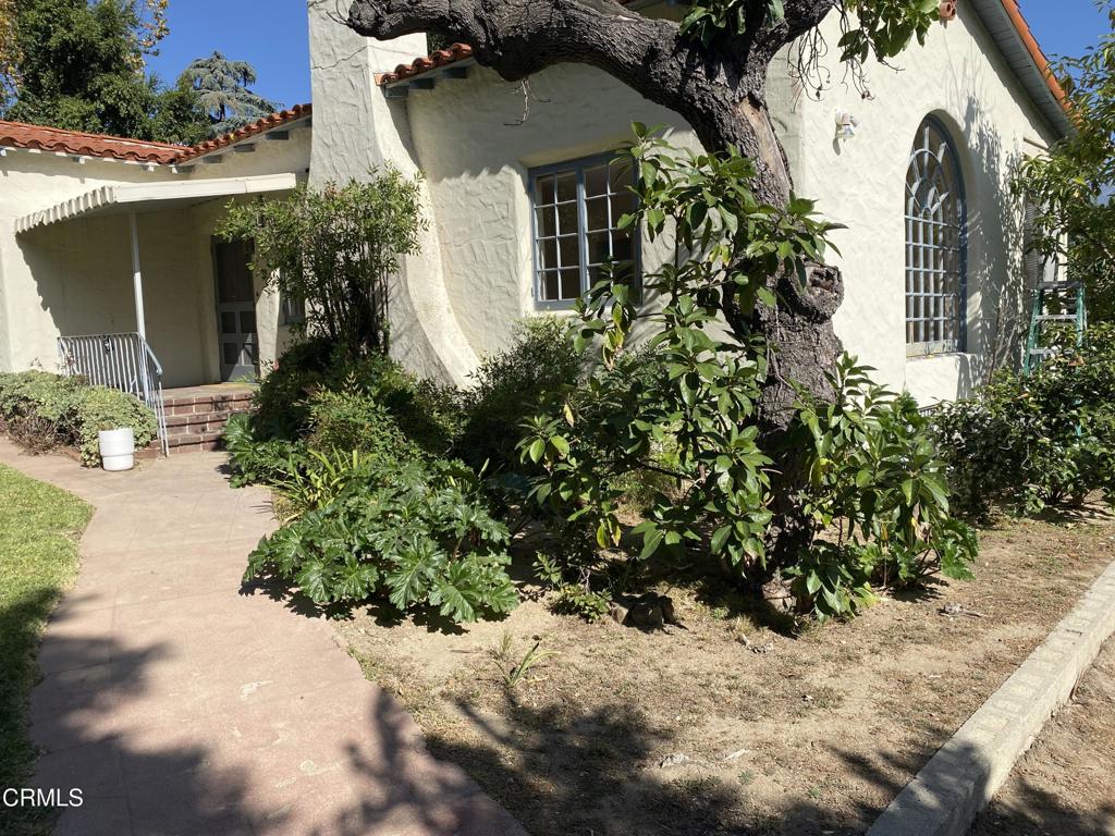 MLS #P1-25137 image #25