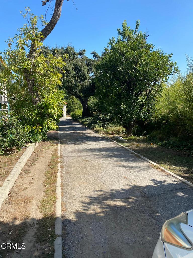 MLS #P1-25137 image #26