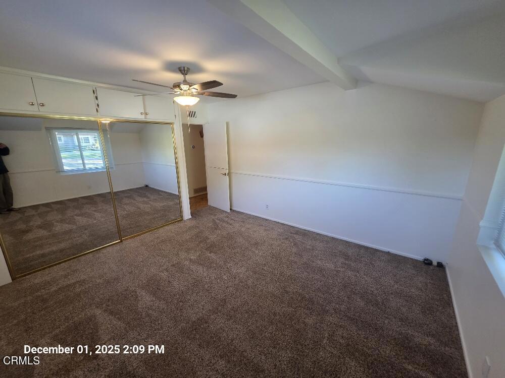 MLS #P1-25155 image #37