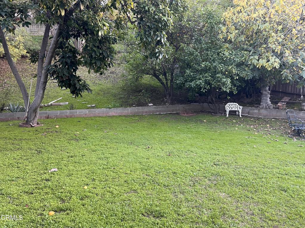 MLS #P1-25156 image #23