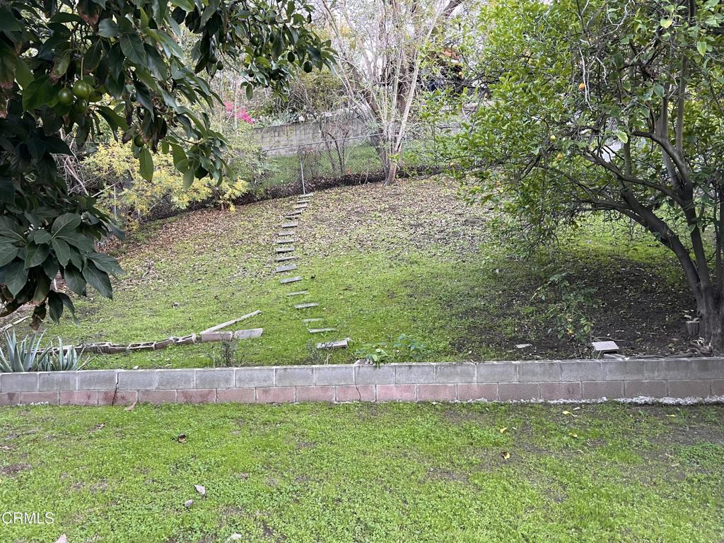 MLS #P1-25156 image #24