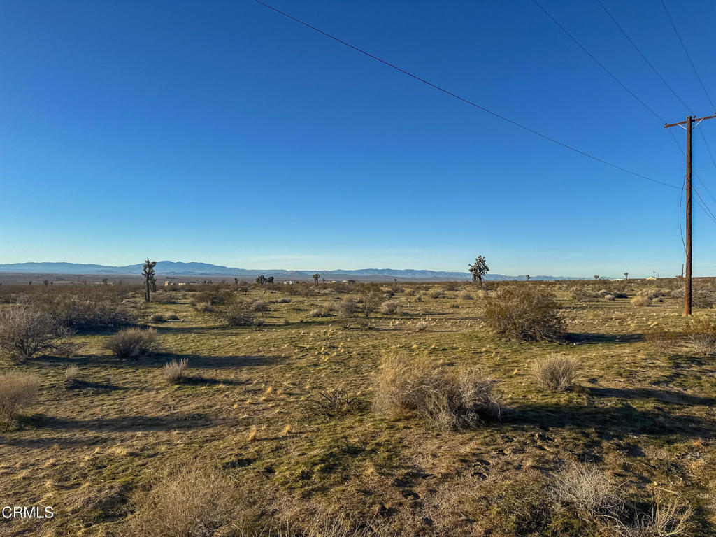 MLS #P1-25178 image #1