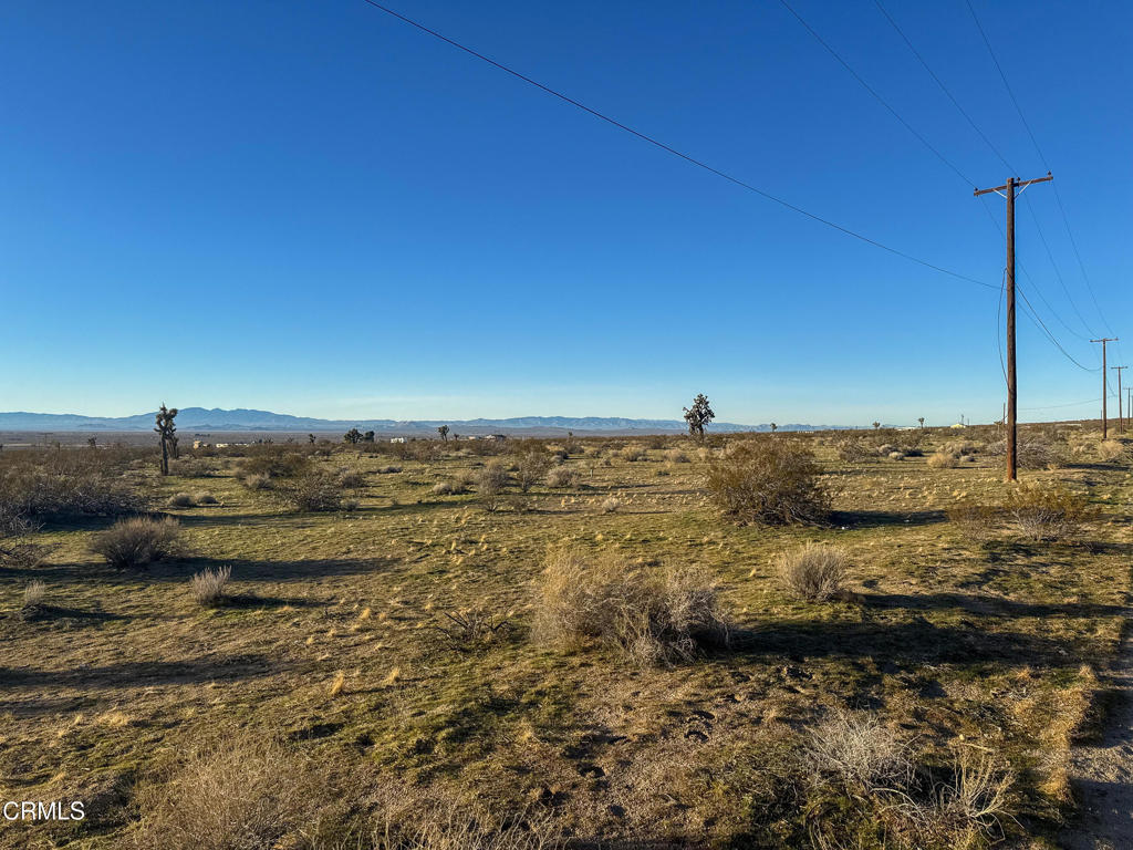 MLS #P1-25178 image #2